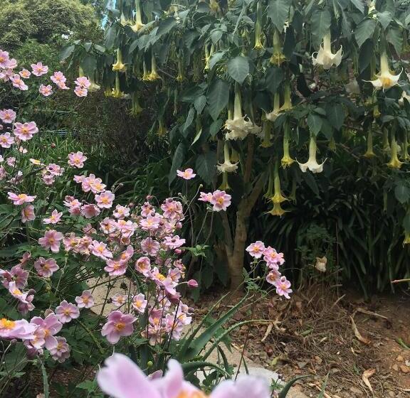 펜션 Adelaide Hills B&b Accommodation