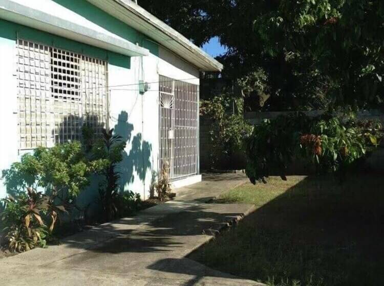 هاستل Yardie Guest House