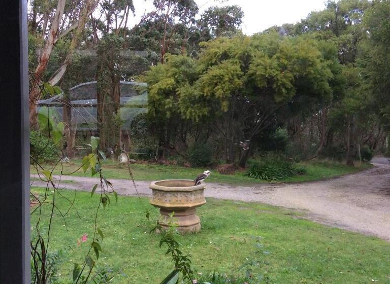 Bed and Breakfast Aashay Country Stay