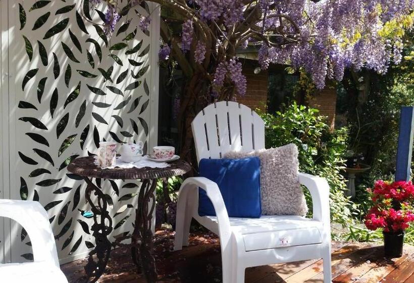 مبيت وإفطار Birch Lane