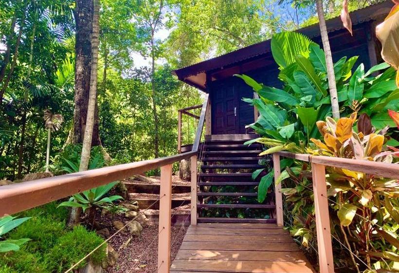 تختخواب و صبحانه Cairns Rainforest Retreat
