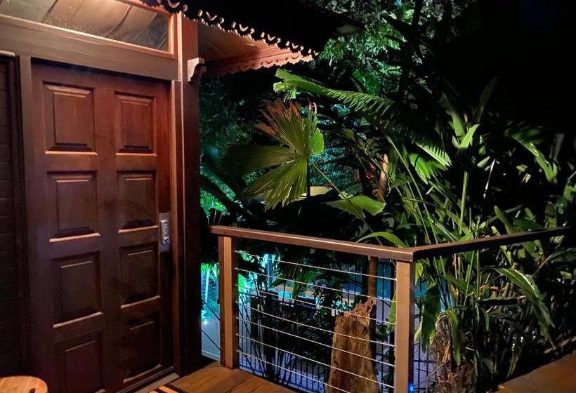 تختخواب و صبحانه Cairns Rainforest Retreat