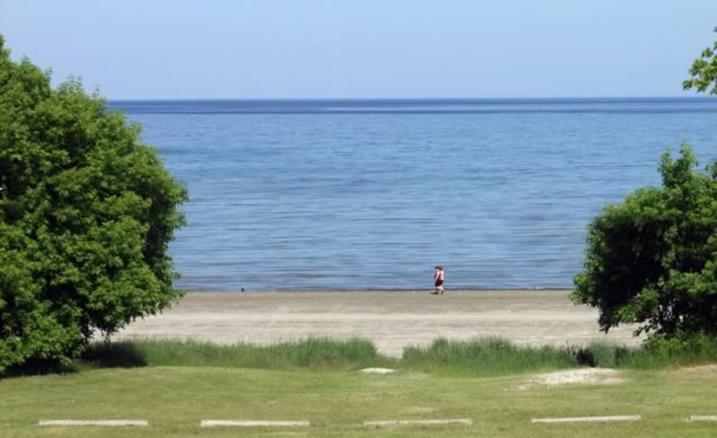 הוסטל Inn On The Beach