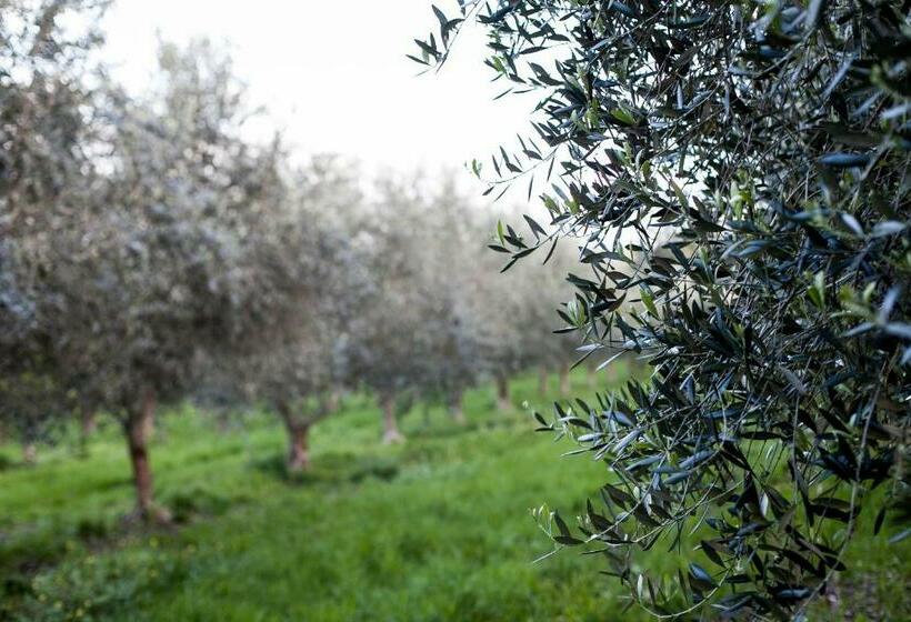 住宿加早餐  Hart's Farm