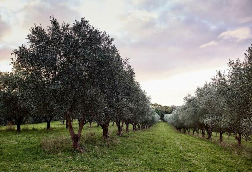 住宿加早餐  Hart's Farm