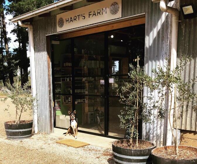 住宿加早餐  Hart's Farm