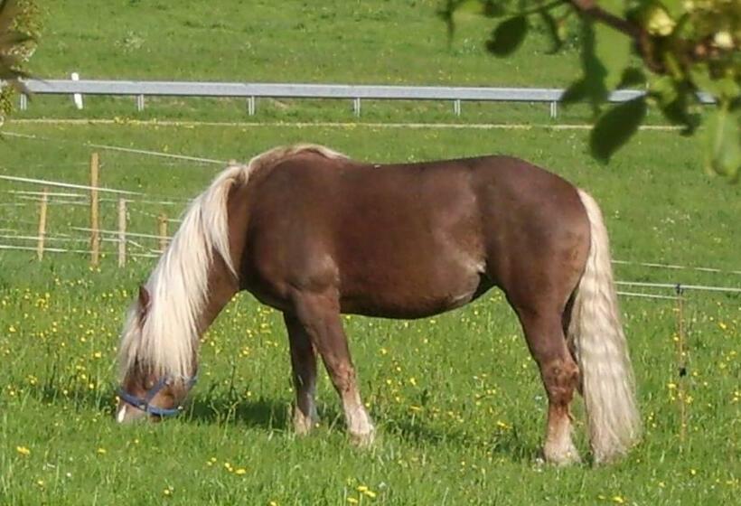 هتل Feriengasthof Löwen