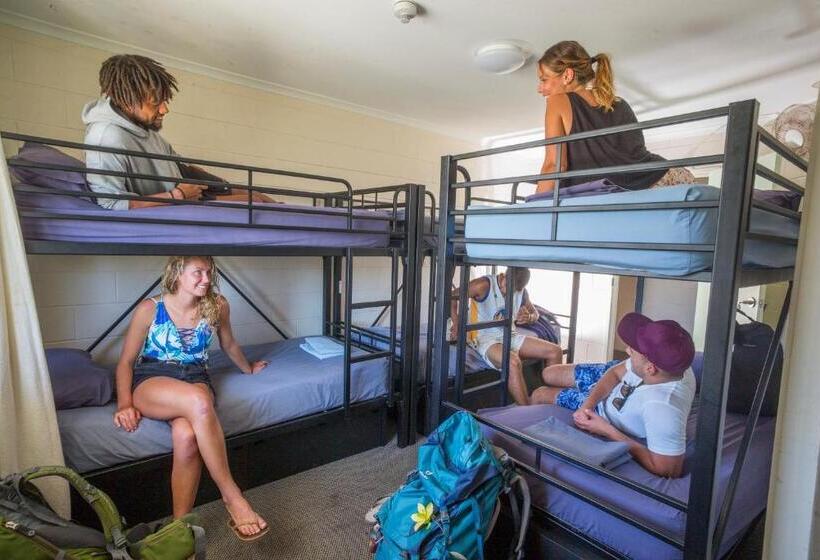Общежитие Manta Lodge Yha & Scuba Centre