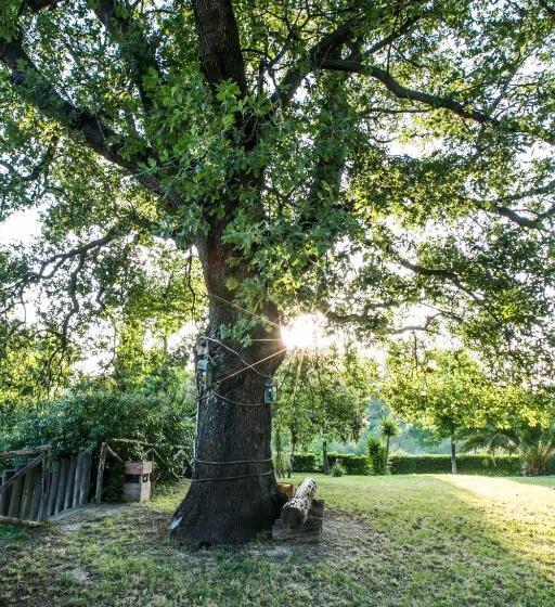 تختخواب و صبحانه Agriturismo Col Morino