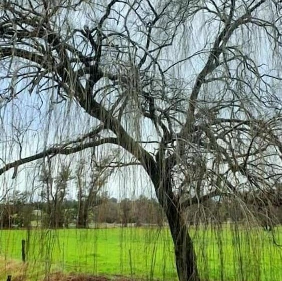 فندق على الطريق Blackwood Valley Suites