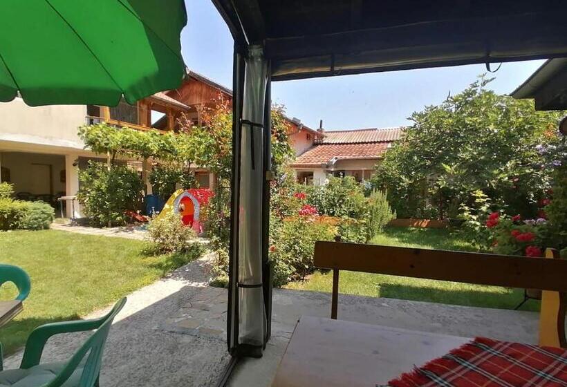 پانسیون Guest House Sokratovi