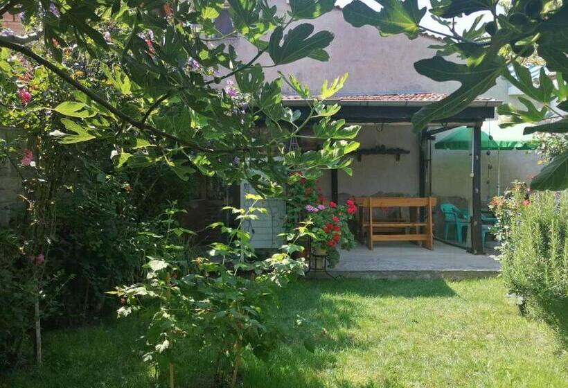 پانسیون Guest House Sokratovi