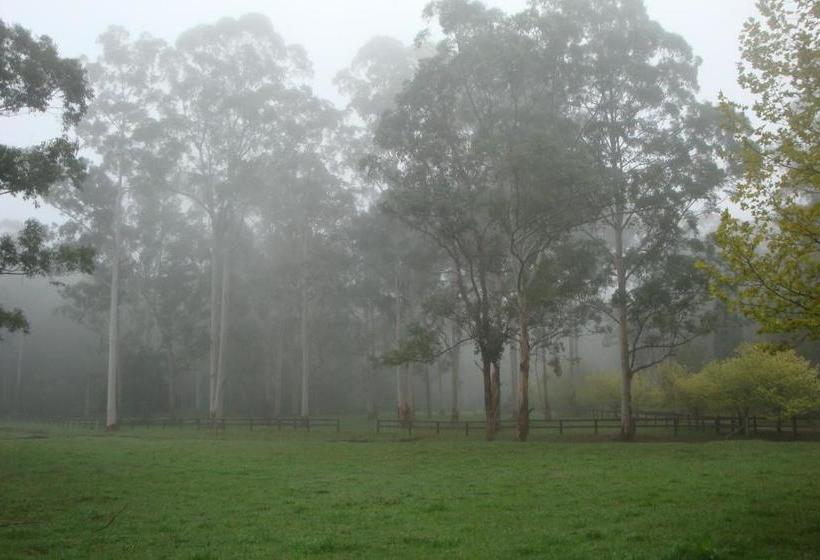 مبيت وإفطار Dingley Dell