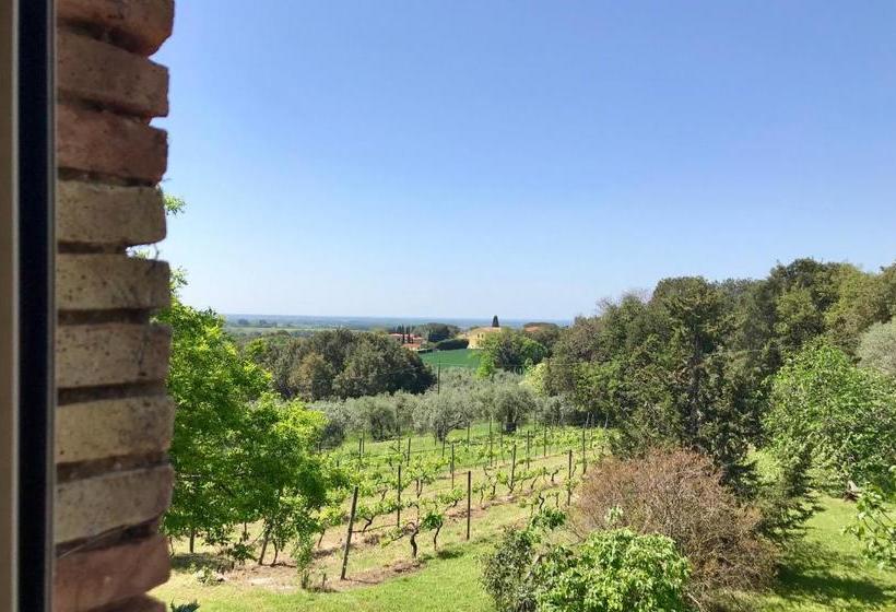 Отель Agriturismo La Leccia