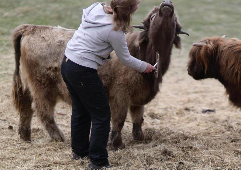 فندق Heimat Farmstay