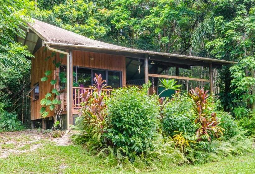 Epiphyte B & B