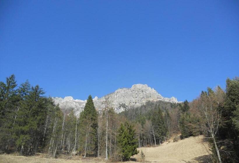 فندق Albergo Bellaria