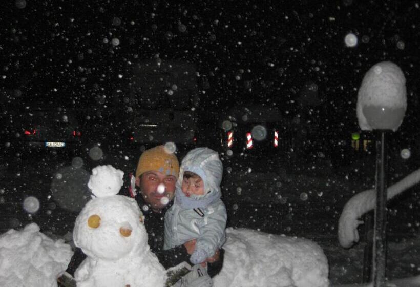 فندق Albergo Bellaria