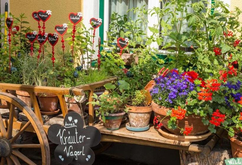 Отель Pension Wagnermigl