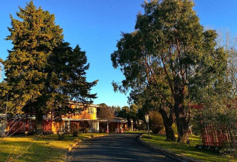 汽车旅馆  Poplars Inn Mittagong