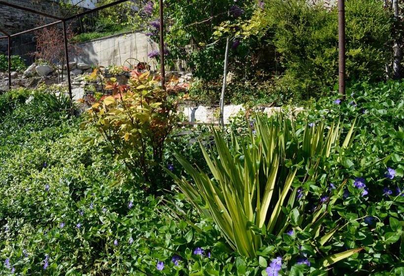 پانسیون Guest House Villa Katty