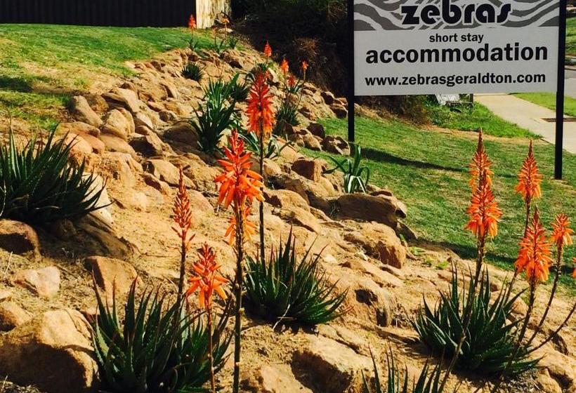 بنسيون Zebras Guesthouse
