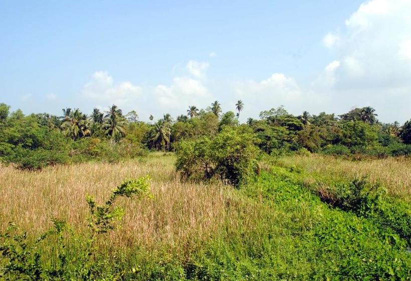 هاستل Village Villa