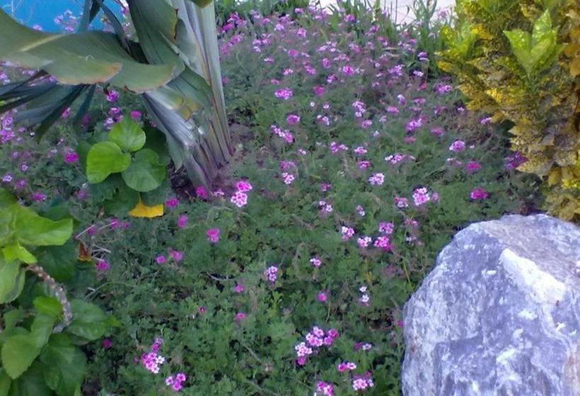 פנסיון Pousada Labella Monick