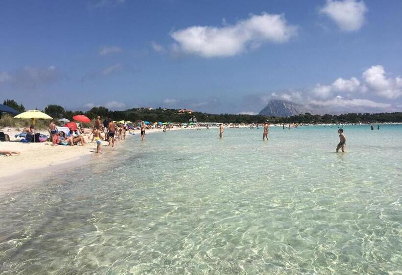 פנסיון Sa Murta Bianca Guesthouse