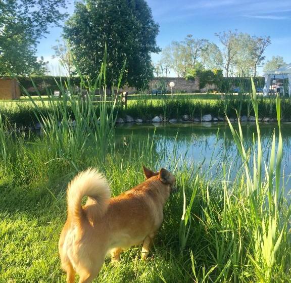 Отель Albergo Cosmera