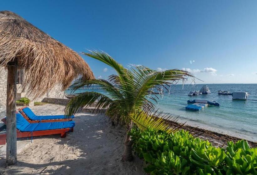 Fotos del hotel Dos Playas Faranda Cancún:  20