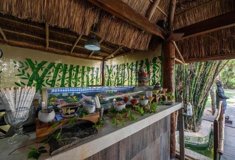 Fotos del hotel Dos Playas Faranda Cancún:  17