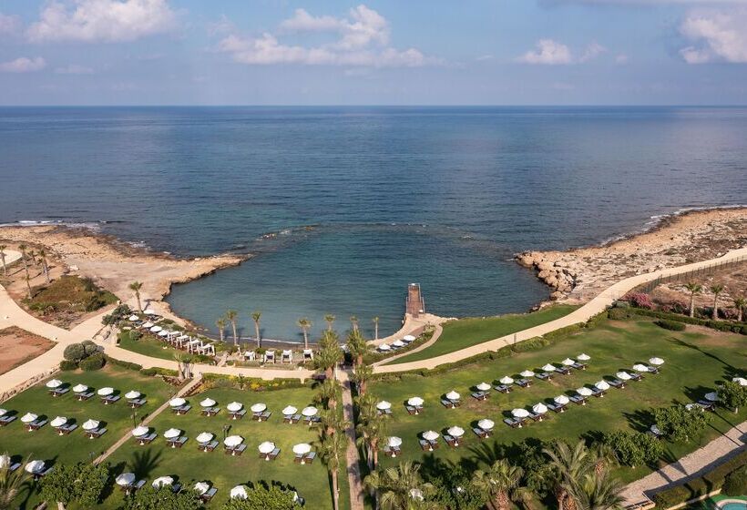 Fotos del hotel Elysium:  13
