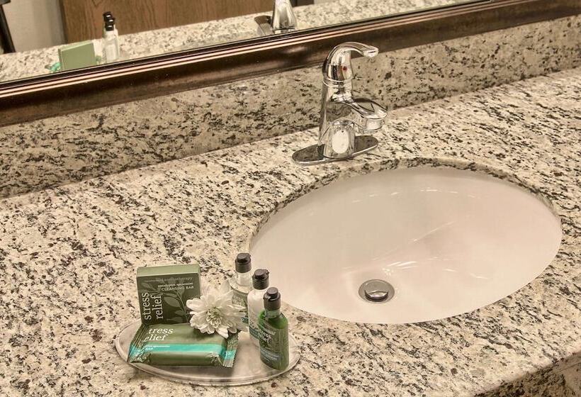 Blossom Hotel & Suites Traverse City