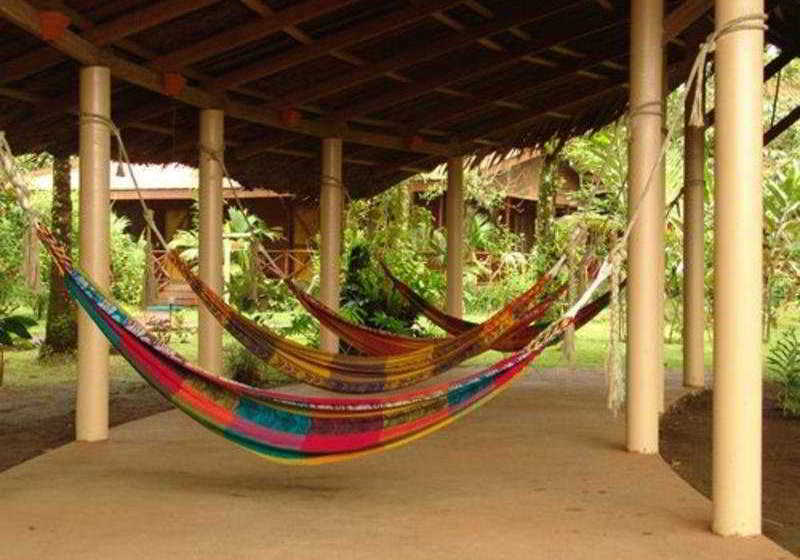 Отель Pachira Lodge
