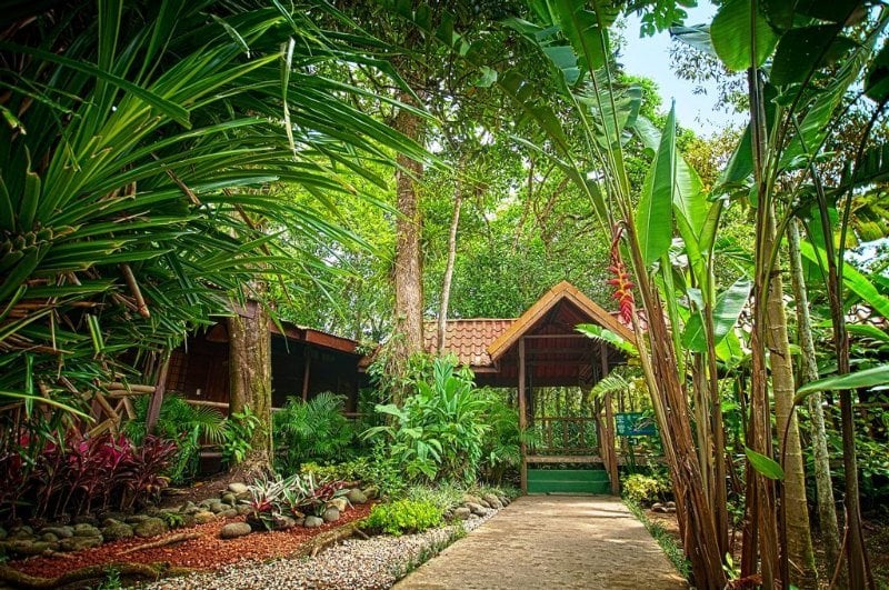 هتل Pachira Lodge