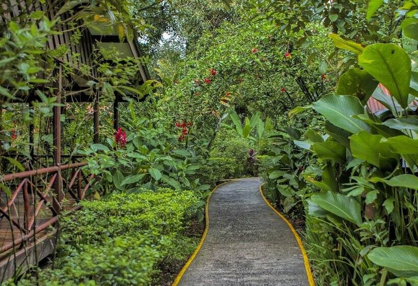 هتل Pachira Lodge
