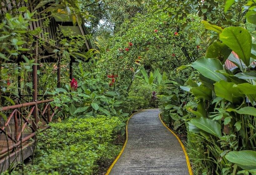 Hotel Pachira Lodge