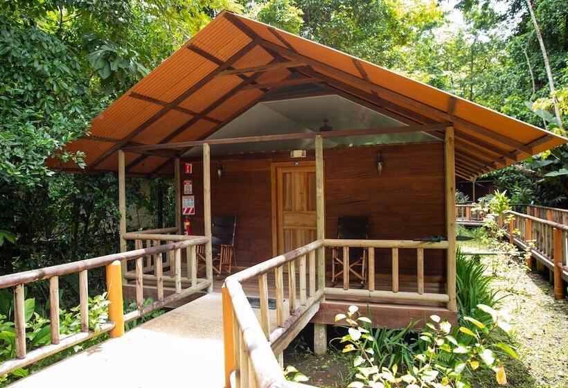 Hotel Pachira Lodge