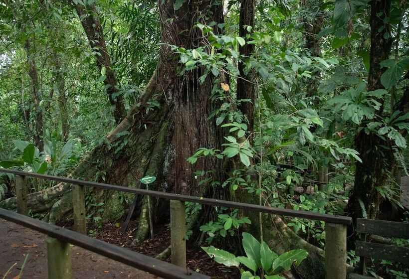 هتل Pachira Lodge