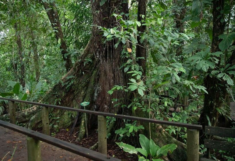 Hotel Pachira Lodge