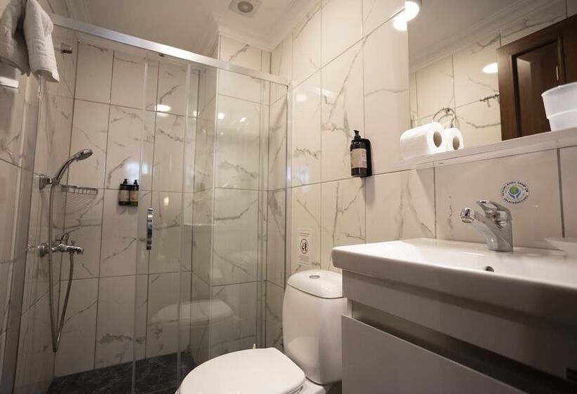 Fotos del hotel Tashkonak Istanbul:  23