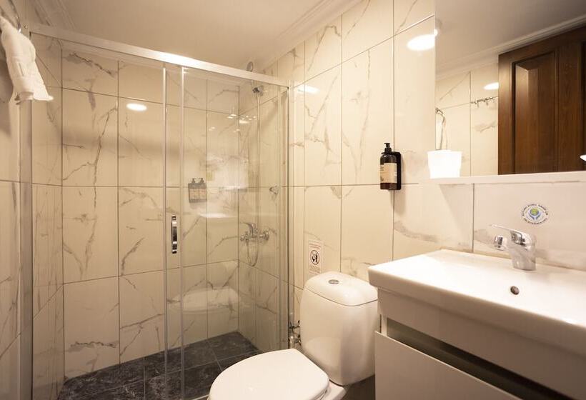 Fotos del hotel Tashkonak Istanbul:  24