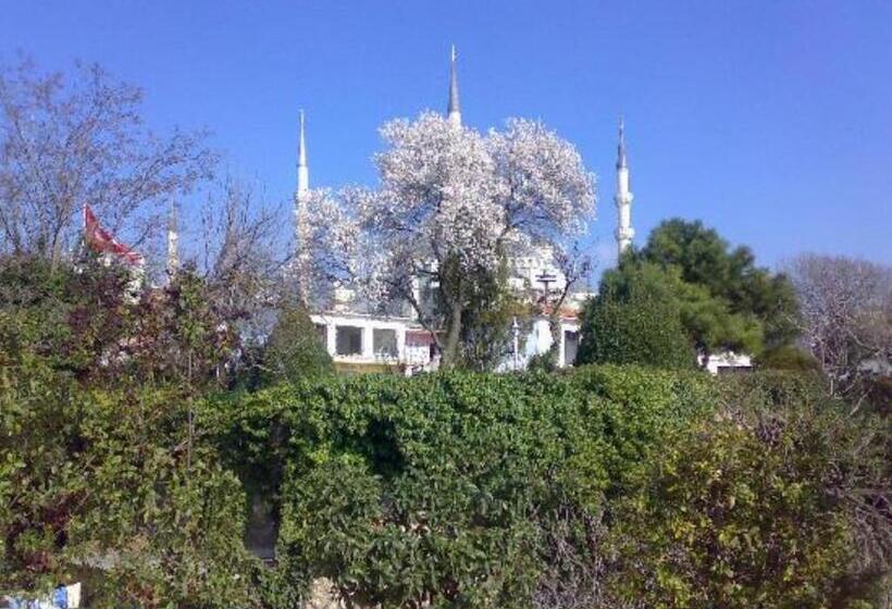 Fotos del hotel Tashkonak Istanbul:  49