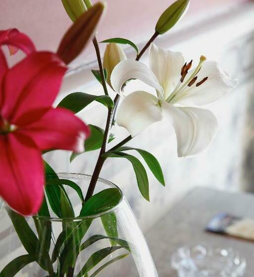 فندق Villa De Luarca