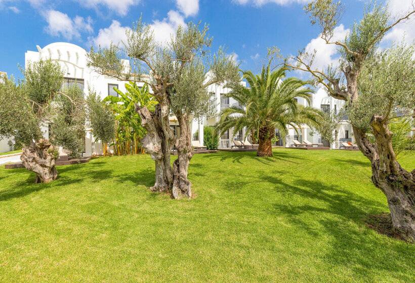 Marsenses Paradise Club