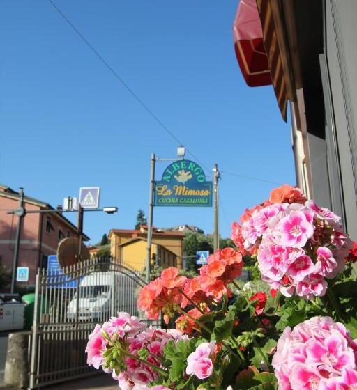 בית מלון כפרי Albergo La Mimosa