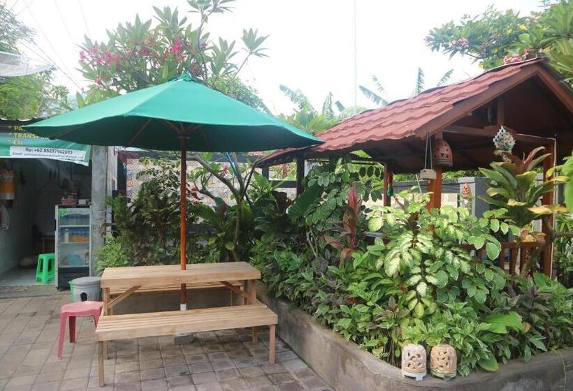 پانسیون Putu Guest House Pemuteran