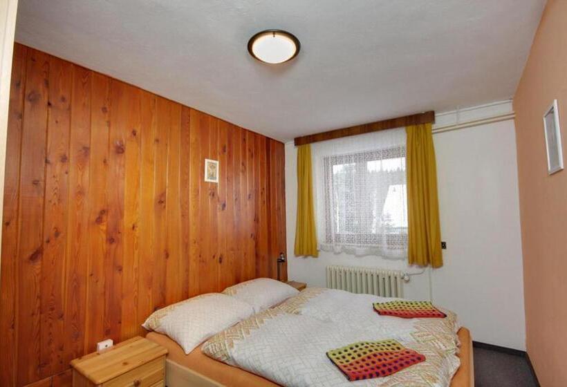 پانسیون Ubytovani Haasova