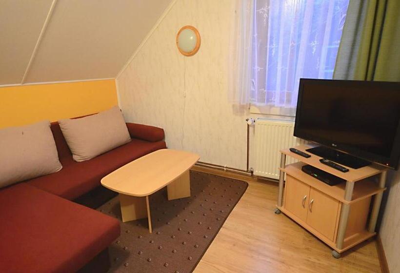 پانسیون Ubytovani Haasova